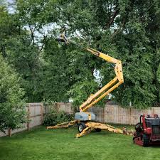 Best Fruit Tree Pruning  in Leisure Village West, NJ