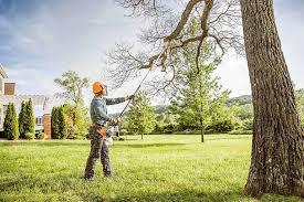 Reliable Leisure Village West, NJ Tree Removal Solutions