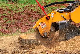 How Our Tree Care Process Works  in  Leisure Village West, NJ